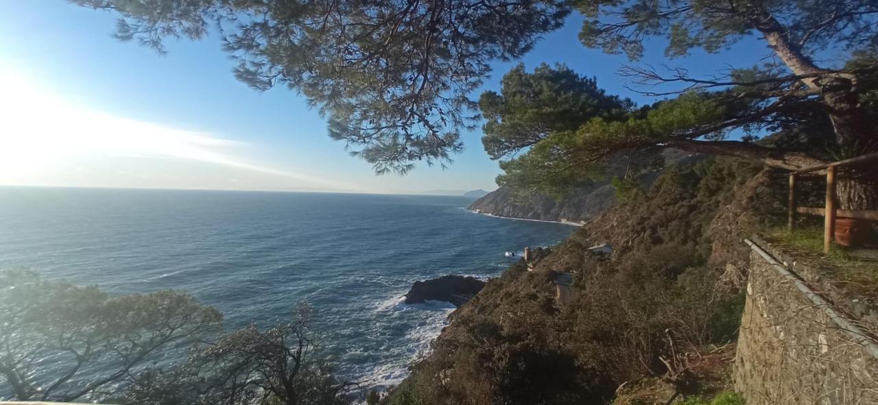 Cinqueterre National Park Sea View Apartman Framura Kültér fotó