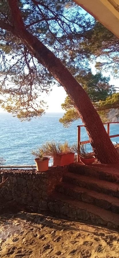 Cinqueterre National Park Sea View Apartman Framura Kültér fotó