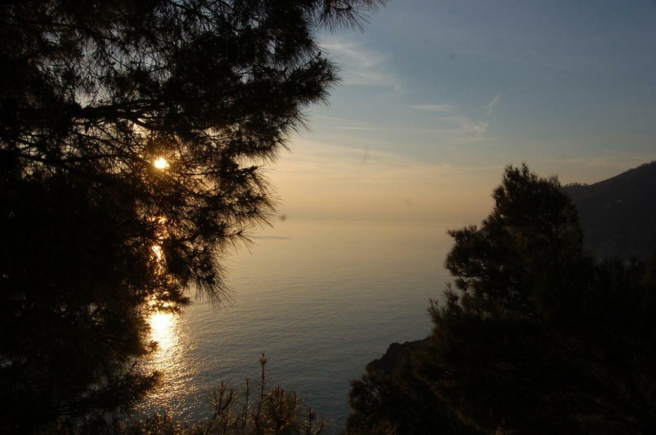 Cinqueterre National Park Sea View Apartman Framura Kültér fotó